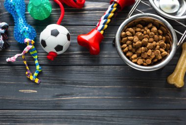 Köpek besleme ve bakım geçmişi. Hayvan bakımı ve eğitim konsepti. Oyuncaklar, toplar, kemikler, tasma, oyun ve antrenman için tasma