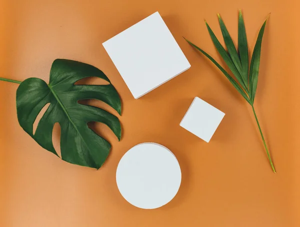 Empty white geometry shapes with tropic leaves on brown background. Trendy fashion accessories. Mock up. Flat lay, close up. Summer, vacation, holidays concept.