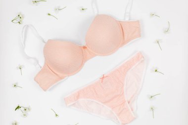 Pembe modern bayan esasları: sutyen ve pamuk külot. Moda iç çamaşırları, kadın iç çamaşırları. Dantelli, yumuşak külot ve pastel arka planda sutyen. Güzellik, moda, blog yazarı, sosyal medya içeriği.