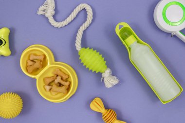 Köpeğiniz için pembe aksesuarlar: kase, oyuncaklar, top, kemikler, menekşe arka planda atıştırmalıklar. Hayvan bakımı ve hayvan sahipleri için eğitim