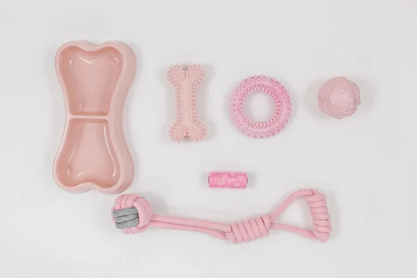 Zestaw Różowych Akcesoriów Dla Twojego Psa Miska Zabawki Piłka Kości — Zdjęcie stockowe