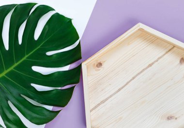 Tropik yeşil palmiye yaprağı ve pembe yeşil arka planda boş ahşap tepsi. Canavar yaprakları maketi, şablon. Yaz modası geçmişi.