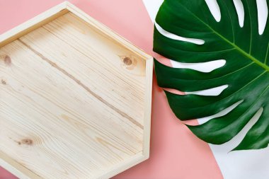 Tropik yeşil palmiye yaprağı ve pembe yeşil arka planda boş ahşap tepsi. Canavar yaprakları maketi, şablon. Yaz modası geçmişi.