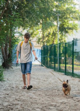 Parkta kocaman kırmızı bir buldogla yürüyen bir genç. Durgun bir hayat, bir köpekle arkadaşlık