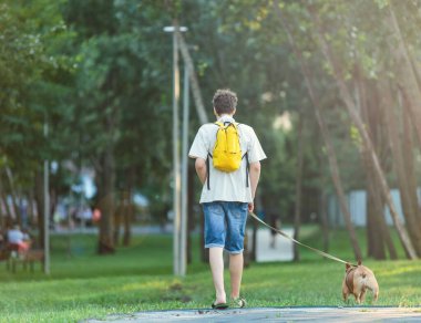 Parkta kocaman kırmızı bir buldogla yürüyen bir genç. Durgun bir hayat, bir köpekle arkadaşlık