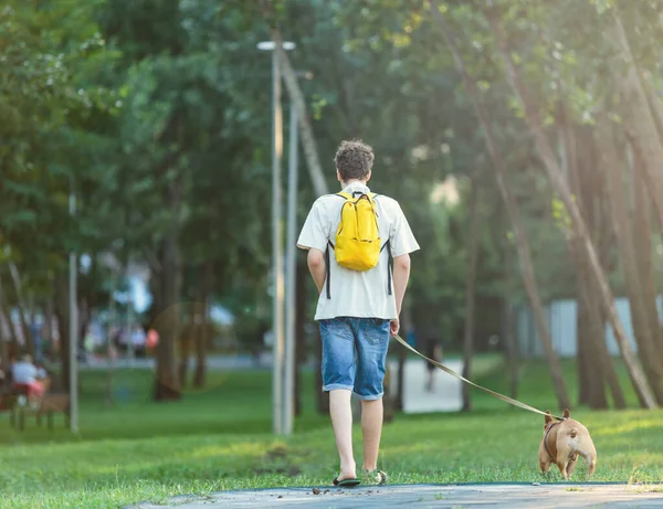 Adolescente Che Cammina Con Bel Bulldog Rosso Francese Nel Parco — Foto Stock