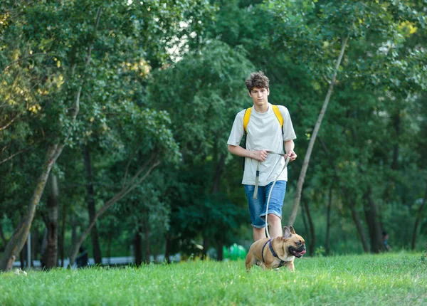 Tonåring Som Går Med Söt Stor Fransk Bulldogg Parken Stilleben — Stockfoto