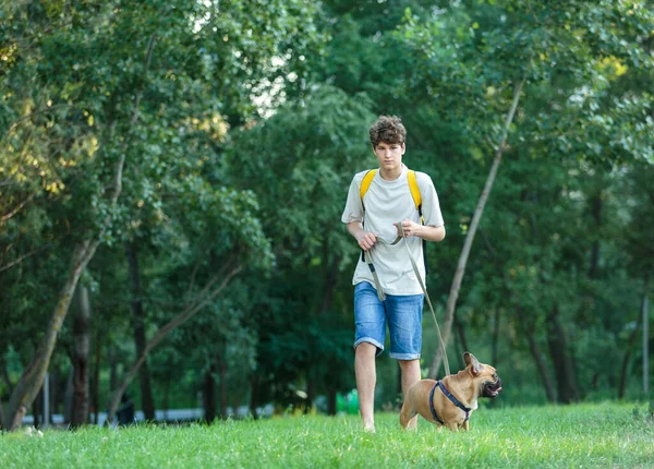 Adolescente Che Cammina Con Bel Bulldog Rosso Francese Nel Parco — Foto Stock