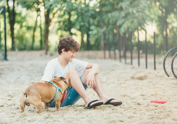 Divertente Bulldog Cucciolo Francese Adolescente Giochi All Aperto Adorabile Bulldog — Foto Stock