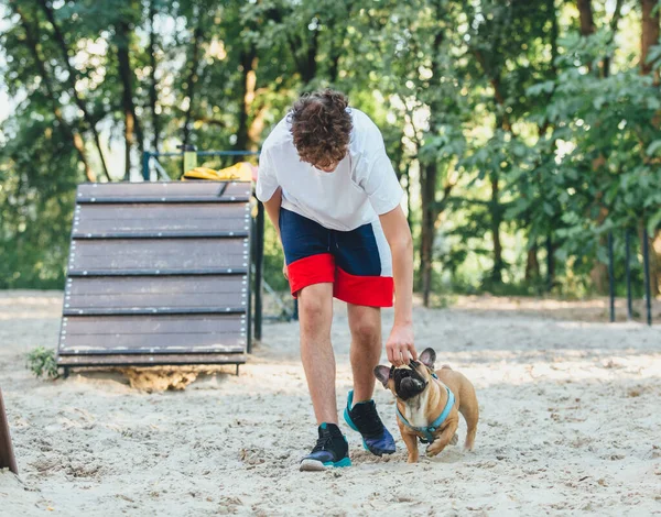 Pojkägaren Till Fransk Bulldogg Tränar Hunden Parken Hundträning Med Tonåring — Stockfoto