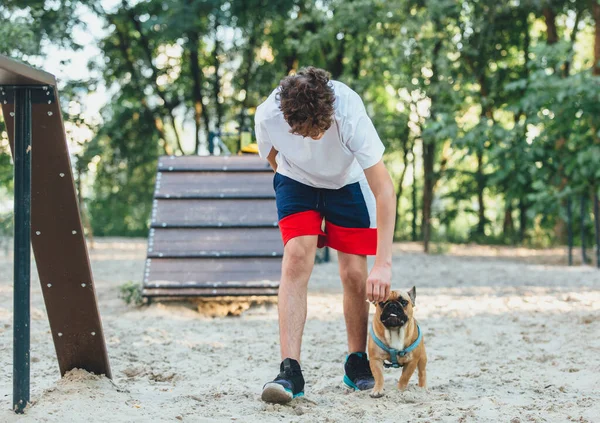 Pojkägaren Till Fransk Bulldogg Tränar Hunden Parken Hundträning Med Tonåring — Stockfoto