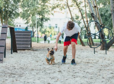 Fransız bir bulldog 'un sahibi çocuk köpeği parkta eğitiyor. Gençlerle köpek eğitimi ve açık havada buldog eğitimi. Hayat, sevgi ve evcil hayvan bakımı, hayvanlarla arkadaşlık.