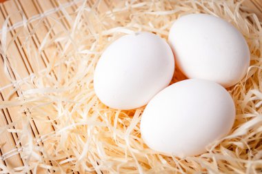 Beyaz tavuk yumurtası bir yuvaya saman paspas, organik gıda