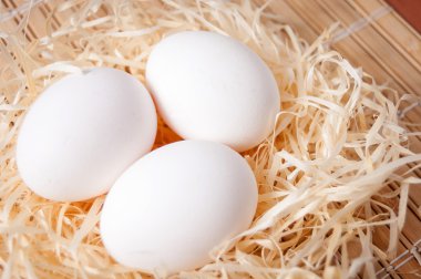 Beyaz tavuk yumurtası bir yuvaya saman paspas, organik gıda
