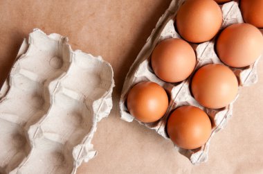 Tavuk yumurtası kağıt tepsisinde