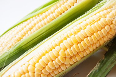 Mısır ile yaprak yeşil