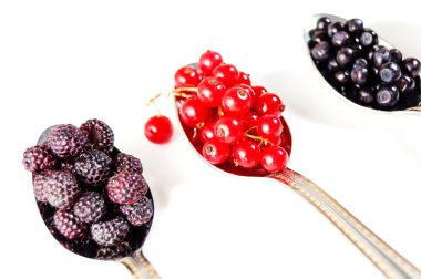 yaban mersini, böğürtlen, çilek, kırmızı kuş üzümü ve kaşık izole kiraz