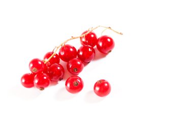 Frenk üzümü izole edildi