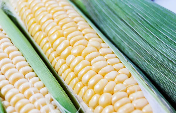 Сира кукурудза з зеленим листям — стокове фото