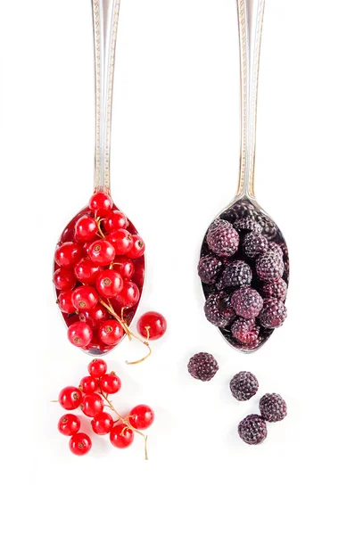 Arándanos, moras, fresas, grosellas rojas y cerezas en cuchara aisladas — Foto de Stock