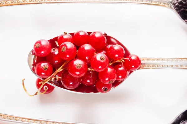 Arándanos, moras, fresas y grosellas rojas en cuchara aislada — Foto de Stock