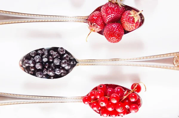Arándanos, moras, fresas y grosellas rojas en cuchara aislada — Foto de Stock