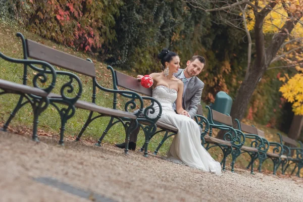 Wedding — Stock Photo, Image