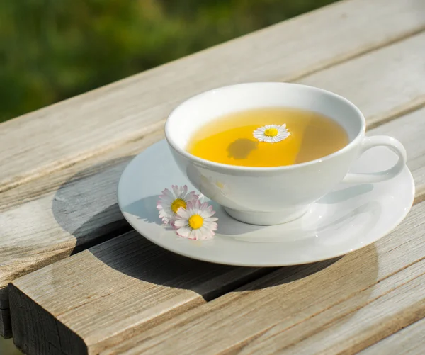 Tea camomile flower — Stock Photo, Image
