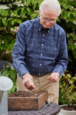 Bahçedeki son sınıf öğrencisi tahta tepside tohum ekiyor.