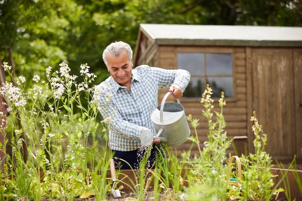 Senior Man Garden Home Watering Vegetables Raised Beds — Stock Photo, Image
