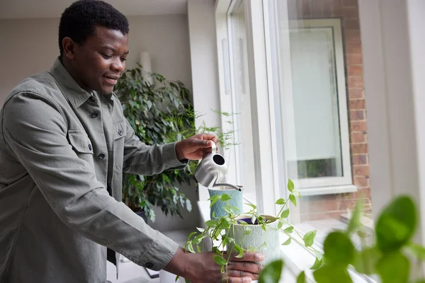 Young Man Home Watering Plants Office — Stock Photo, Image