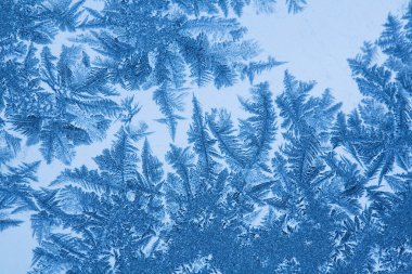 Frost desen cam üzerinde
