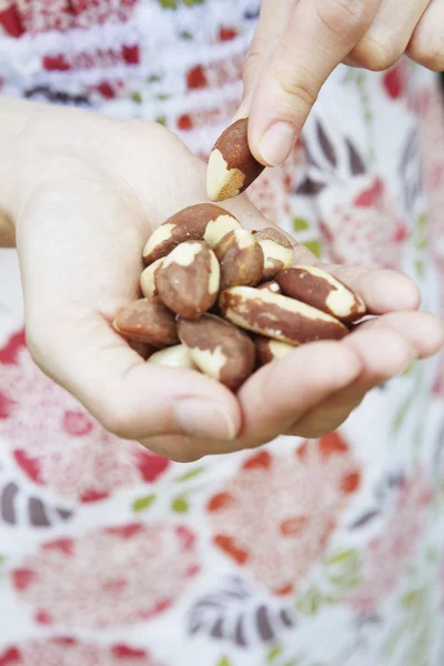 Женщина ест горстку бразильских орехов — стоковое фото