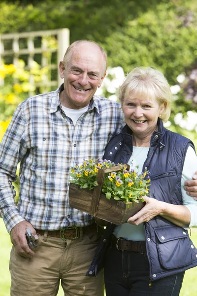Портрет старшої пари працює в саду разом — стокове фото