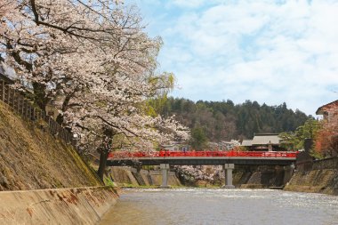 Kırmızı Nakabashi köprüde Takayama baharda sırasında insanlar