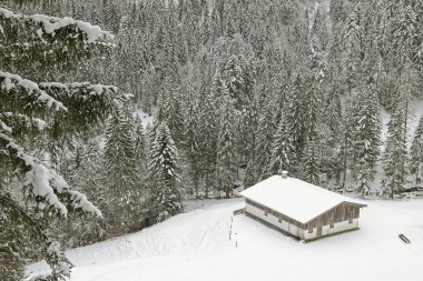 Eski ahşap ahır dağ orman kar kaplı 