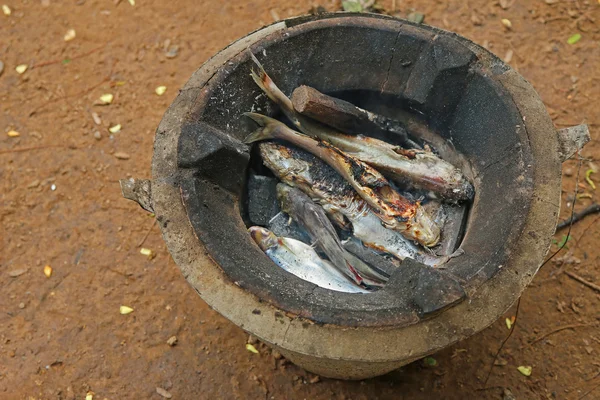 Carbón pescado a la parrilla capturado en el río Mekong en Laos — Foto de Stock