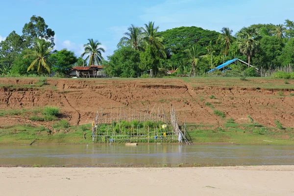 Area orto in recinzione di bambù lungo la riva del fiume Mekong — Foto Stock