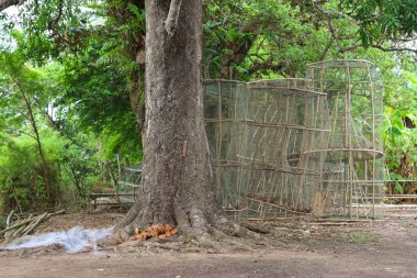 Bambu ve net yapılmış büyük ve uzun boylu el yapımı balık tuzakları 