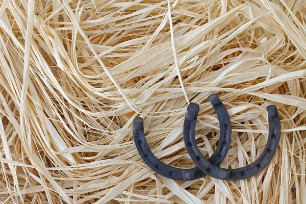Steel horseshoes pointing upwards as a sign of good luck on dried hay — Stock Photo, Image