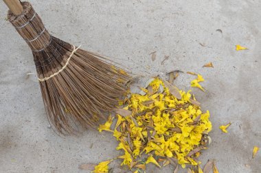 Old styled broom made of coconut leaf stalks sweeping yellow flowers clipart