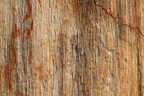 Background texture photo of petrified ancient wood changing into stone — Stock Photo, Image