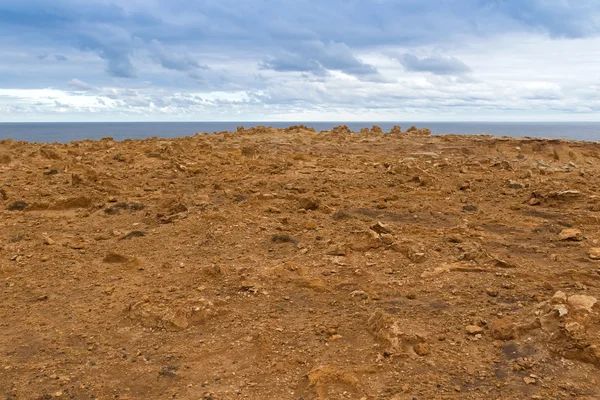Landskap av kustnära klippan på Petrified Forest Walk, Cape Bridge — Stockfoto