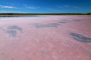 View of pink salt lake at Coorong National Park in South Australia clipart