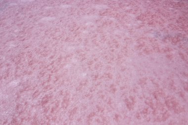 Yosun nedeniyle pembe görünmesini ıslak Tuz Gölü Dunaliella salina, Coorong Milli Parkı adı verilen