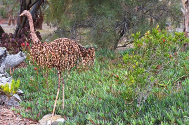 Emu Kuşu kuru tohum pods Bahçe süslemeleri yapılan