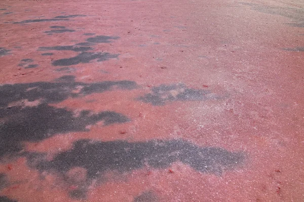 Superficie brillante de lago de sal que aparece de color rosa debido a las algas verdes — Foto de Stock