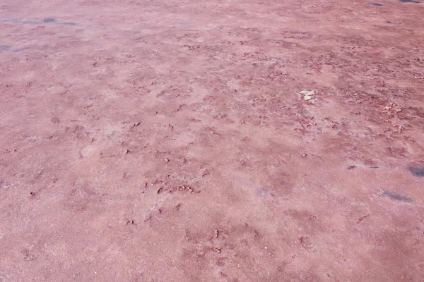 Odparowanej słone jezioro zbita powierzchnia Coorong National Park, Australia Południowa — Zdjęcie stockowe