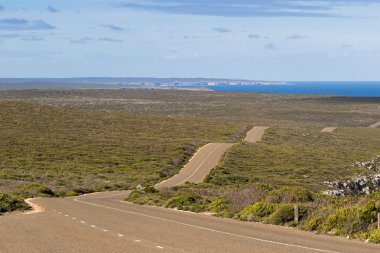 Boksör sürücü, Kanguru Adası, Güney Avustralya rüzgarlı dalgalı karayolu
