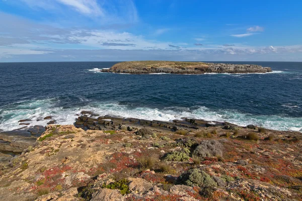 Casuarina острівців, також називається The Brothers, Flinders Чейз Національний парк на острові Кенгуру, Південна Австралія — стокове фото